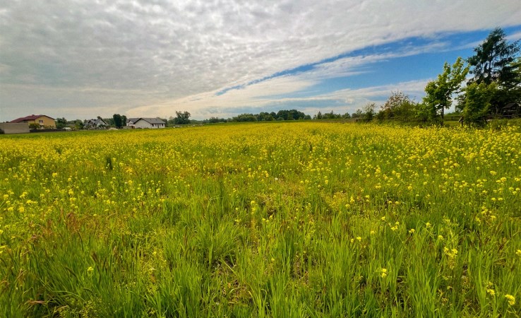 działka na sprzedaż - Miedźna, Wola